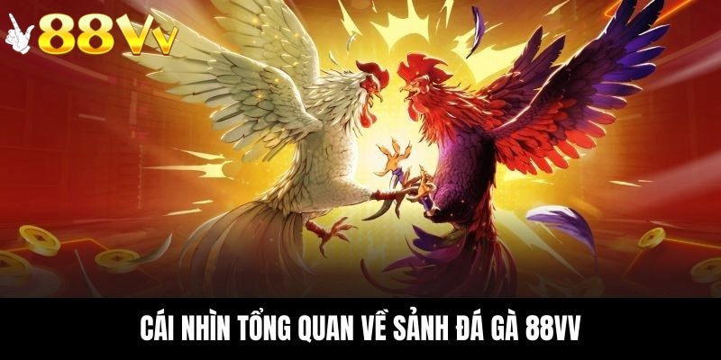 Giới thiệu tổng quan về sảnh đá gà 88VV