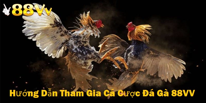 Tham gia cá cược đá gà tại nhà cái 88VV rất đơn giản